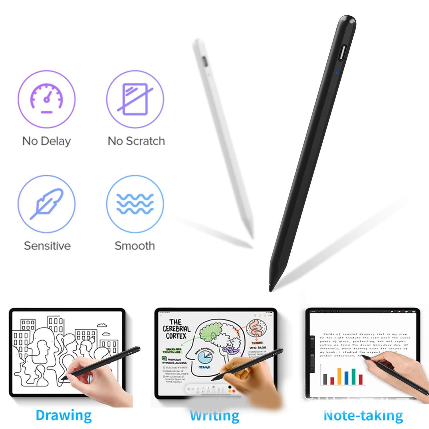 iPad Stylus